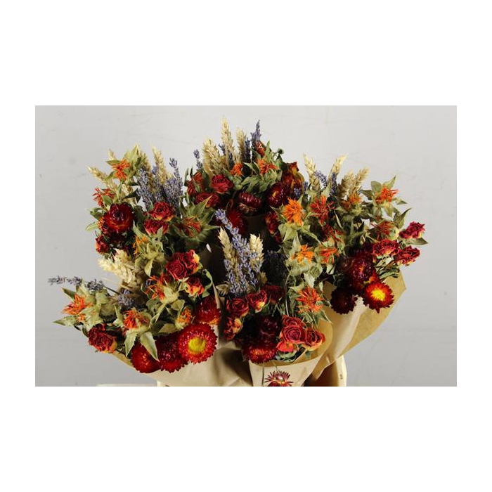 <h4>Df Bouquet 50cm Dutch Orange</h4>