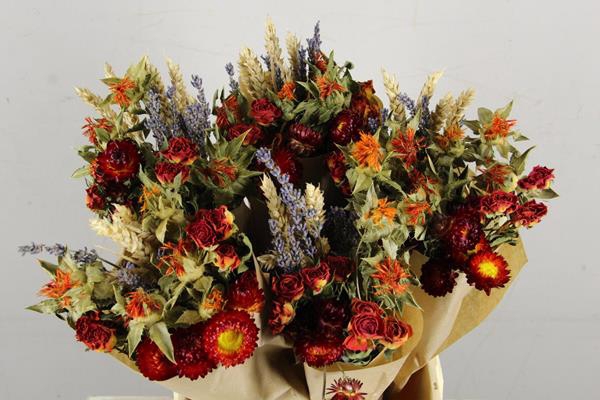 Df Bouquet 50cm Dutch Orange
