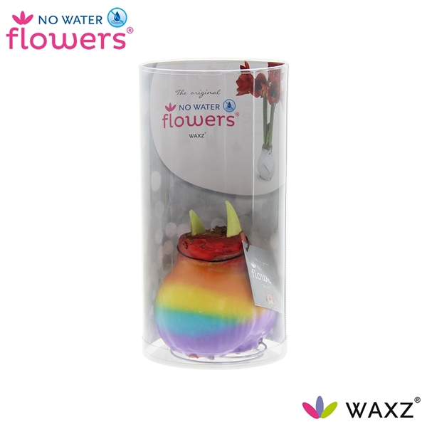 <h4>No Water Flowers Waxz® Rainbow in Koker</h4>
