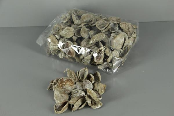 Land Lotus Petal Frosted 500g