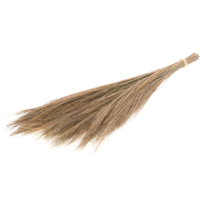 <h4>Broom grass 100gr 65cm natural</h4>