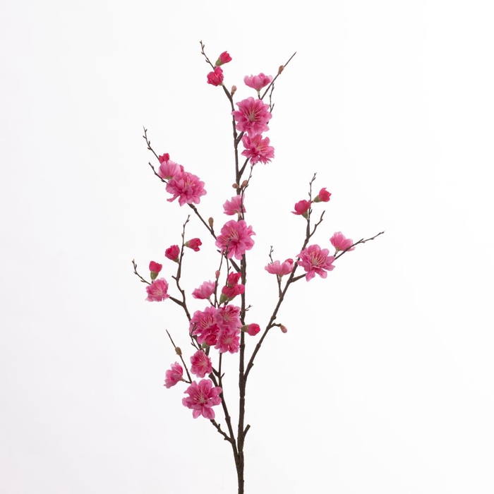 Af Prunus L86cm Pink