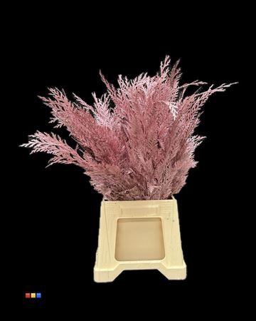 <h4>Coniferen Metallic Pink</h4>