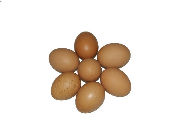 <h4>Egg chicken brown12pcs in tray</h4>