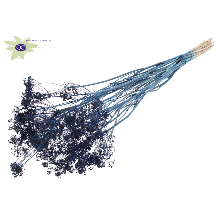 <h4>Anethum (dille) dried 10st per bunch Dark Blue</h4>