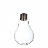 Glass Vase Light bulb d08*12cm