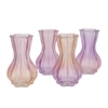 Bicolore Pretty Pink Garlic Vase Ass 13x20cm