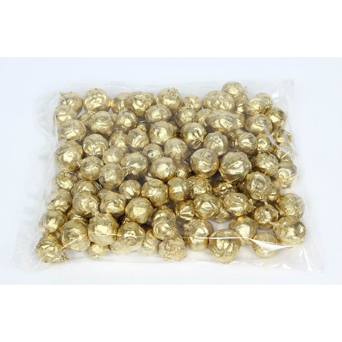 <h4>Estrelinia 500gr in poly Gold</h4>