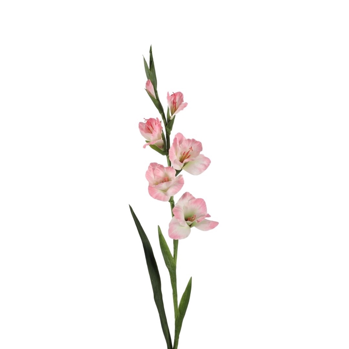 <h4>Artificial flowers Gladiolus 97cm</h4>