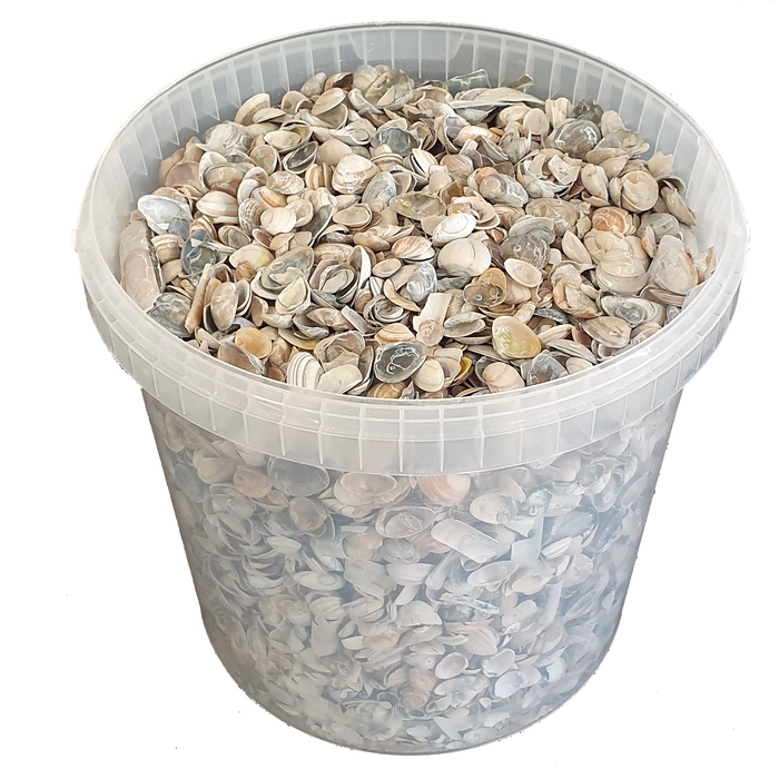<h4>Shells north sea 10 ltr Frosted Blue</h4>
