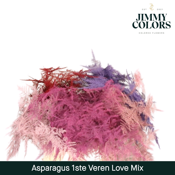 Asparagus 1ste Love mix