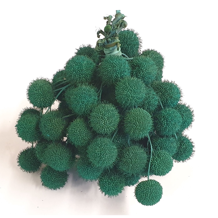 <h4>Small ball per bunch in poly Turquoise</h4>