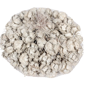 Cupressus 500gram in net White 