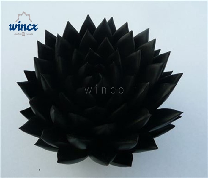 <h4>Echeveria Agavoides Paint Black Cutflower Wincx-12cm</h4>