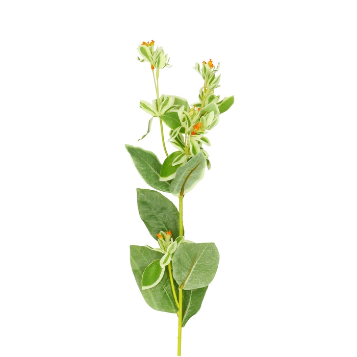<h4>Artificial flowers Euphorbia small 69cm</h4>