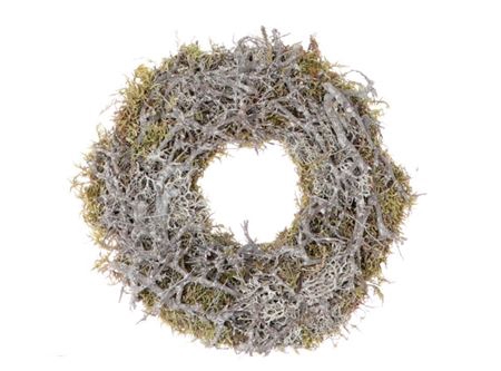 <h4>Wreath Bonsai Moss D30</h4>