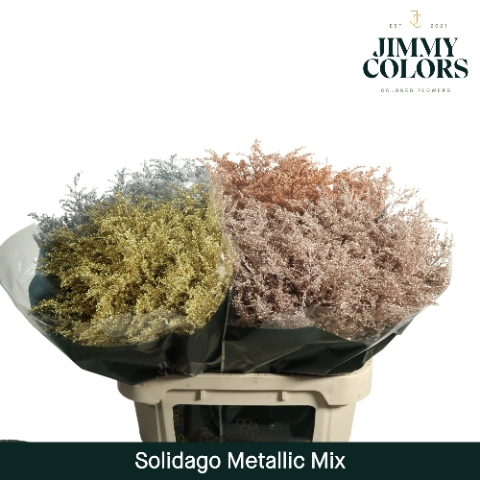 <h4>Solidago L80 Metallic mix</h4>