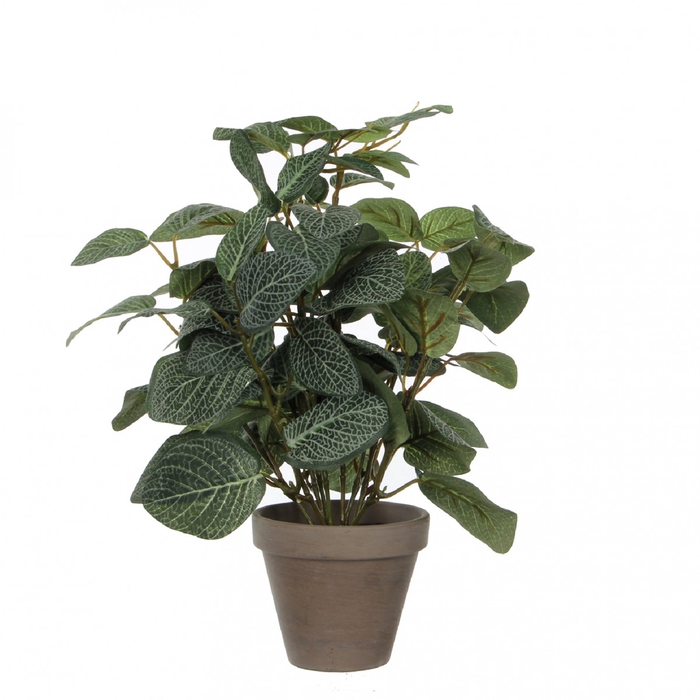 Artificial plants Pot Pilea d11/25*35cm