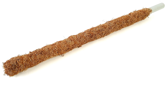 <h4>Tube 30mm with curly moss 80cm p pc natural</h4>