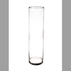 DF01-883428400 - Cylinder vase Myrtle1 d15xh60 clear