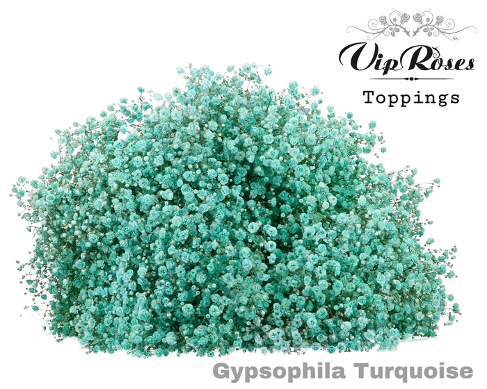 <h4>GYPS PA TURQUOISE</h4>