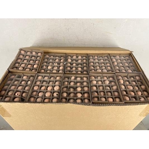 Egg Quail Orange Box(60pcs)