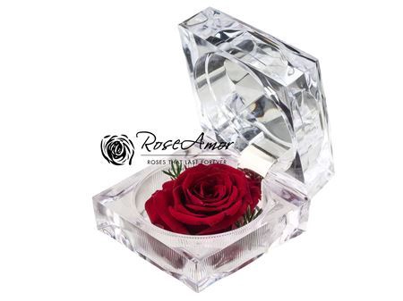 <h4>Pres Giftbox Jewel Red01</h4>