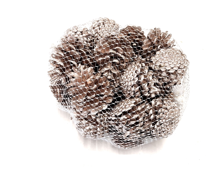 Pine cone 500gr in net Champagne