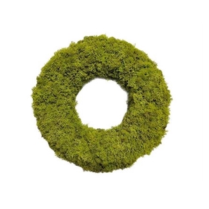 Wreath d40cm Reindeer moss