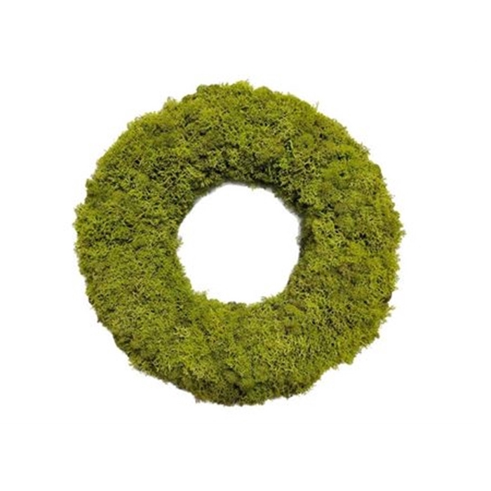 Wreath d40cm Reindeer moss