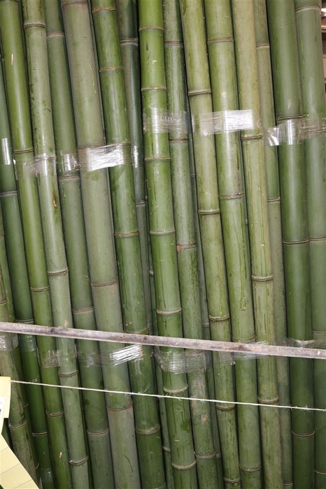 <h4>Bamboe 60-80 2meter</h4>