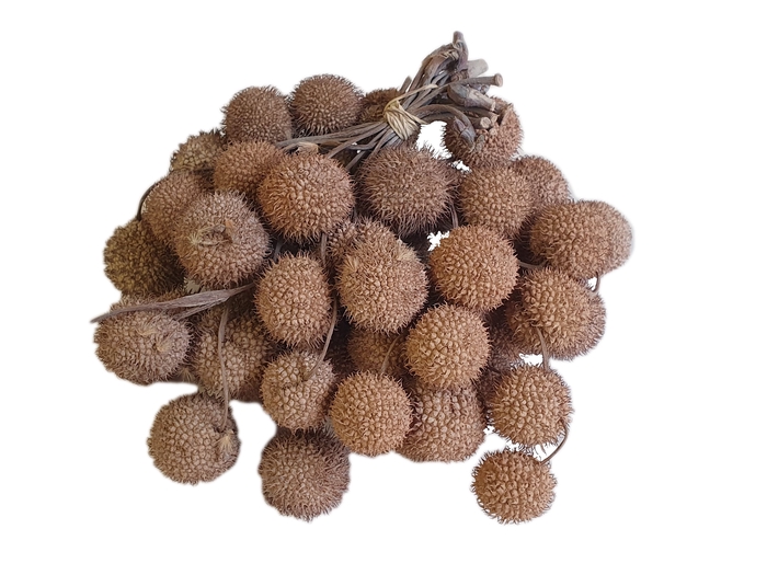 <h4>Small ball per bunch in poly frosted white</h4>