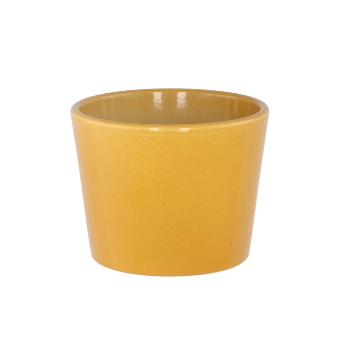 <h4>Ceramic Pot Curry Shiny 11cm</h4>