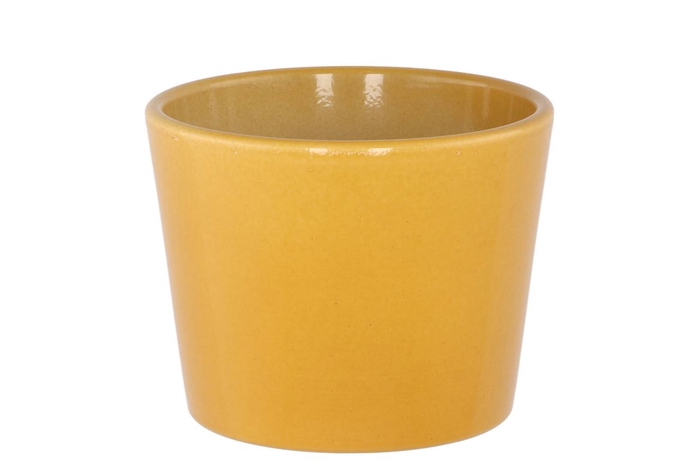 <h4>Ceramic Pot Curry Shiny 11cm</h4>