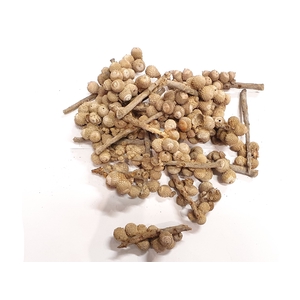 Acorn bunch 250gr in poly Frosted White