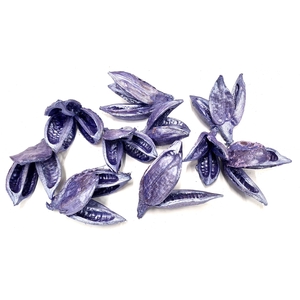 Sororoca penca flower 10pcs in poly Pearl Purple