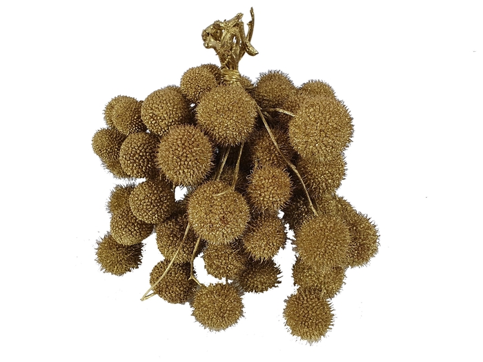 Small ball per bunch in poly Gold