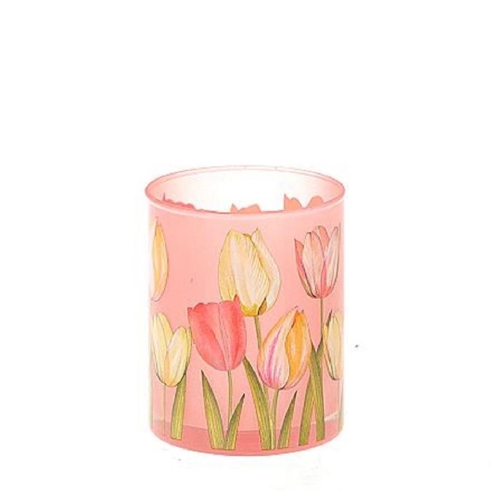 <h4>Candlelight arlao tulip d08 10cm</h4>