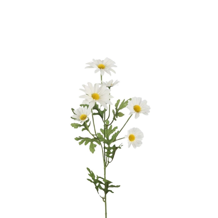<h4>Artificial flowers Bellis perennis 70cm</h4>