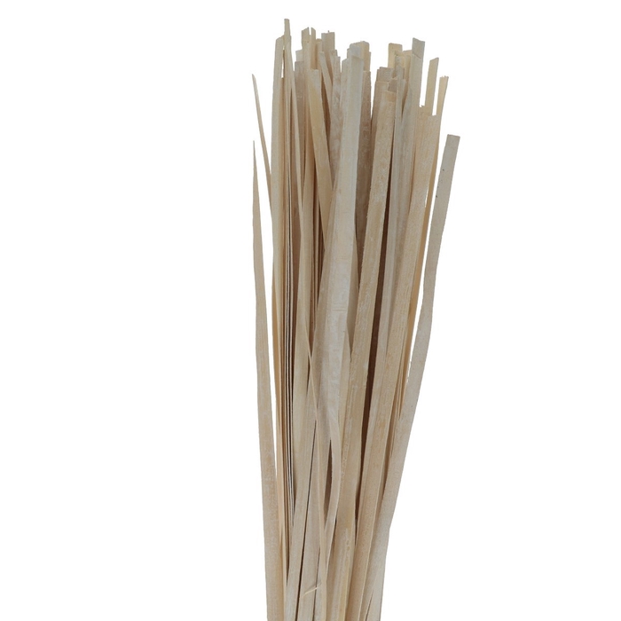 <h4>Dried articles Woodband 1*110cm x100</h4>