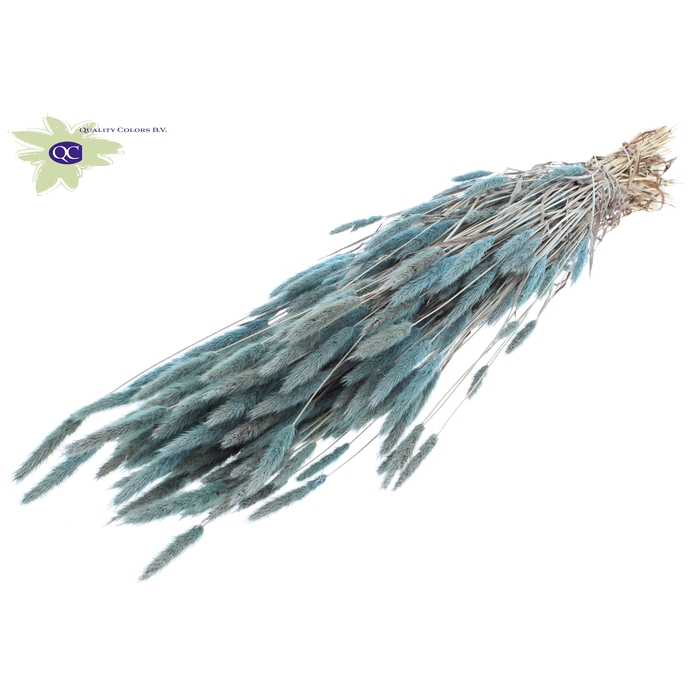 <h4>Polypogon per bunch Frosted Light Blue</h4>