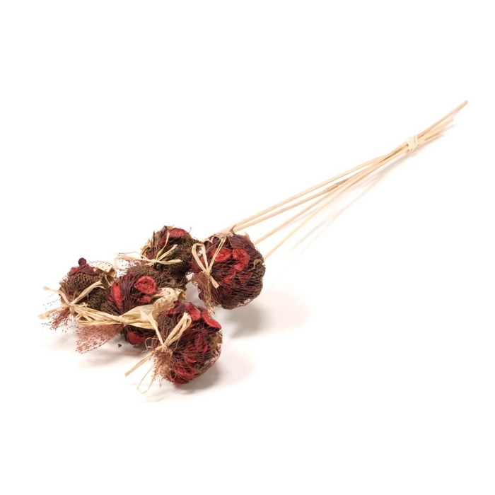 <h4>DRIED FLOWERS - POTPOURRI MIX 10P RED</h4>