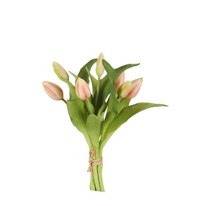 <h4>Tulipa boeket 32cm x7</h4>