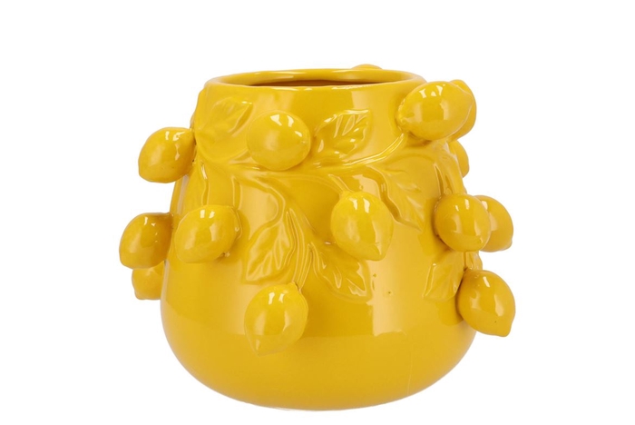 <h4>Fruit Lemon Yellow Pot 24x19cm</h4>