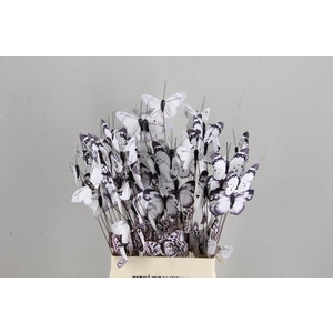 Stick Butterfly Bouquet White
