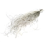 Beargrass dried per bunch Platina