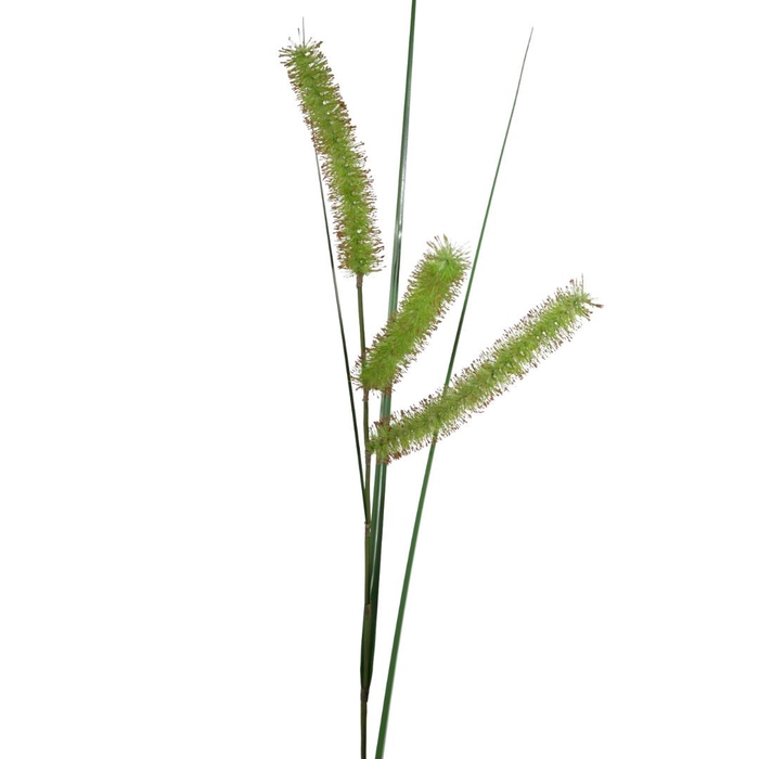 <h4>Artificial plants Carex Long Spiculate 132cm</h4>