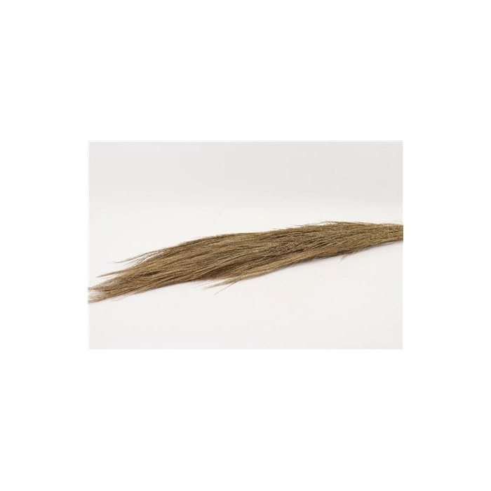 <h4>Bunch Chinese Broom  L110</h4>