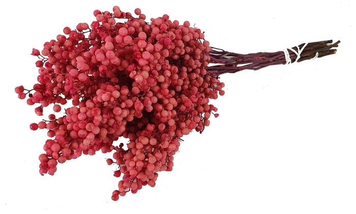 <h4>Pepperberries per bunch in poly pink</h4>