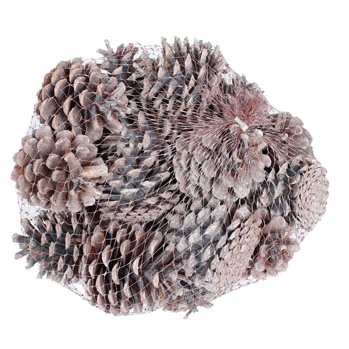 <h4>Pine cone 1 kg in net Frosted White</h4>